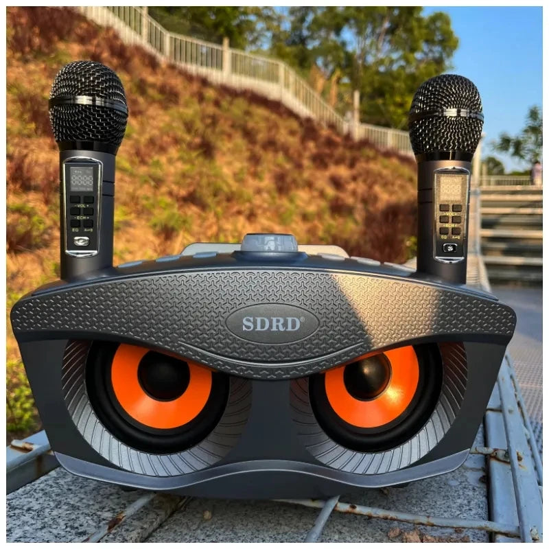 Wireless Bluetooth Speaker With 2-Piece Mic Rechargeable Portable Speaker