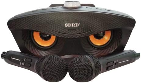 Wireless Bluetooth Speaker With 2-Piece Mic Rechargeable Portable Speaker