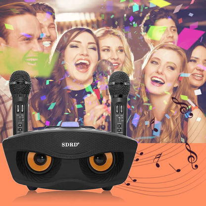 Wireless Bluetooth Speaker With 2-Piece Mic Rechargeable Portable Speaker