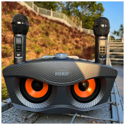 Wireless Bluetooth Speaker With 2-Piece Mic Rechargeable Portable Speaker
