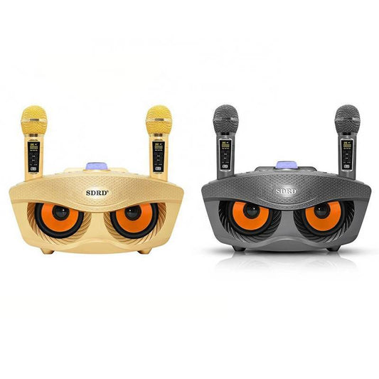 Wireless Bluetooth Speaker With 2-Piece Mic Rechargeable Portable Speaker